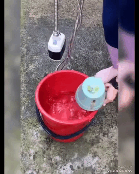 Ducha Portátil Recargable